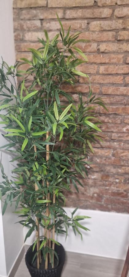 Barcelona,Apartamento Con Terraza Apartamento L'Hospitalet de Llobregat Exterior foto